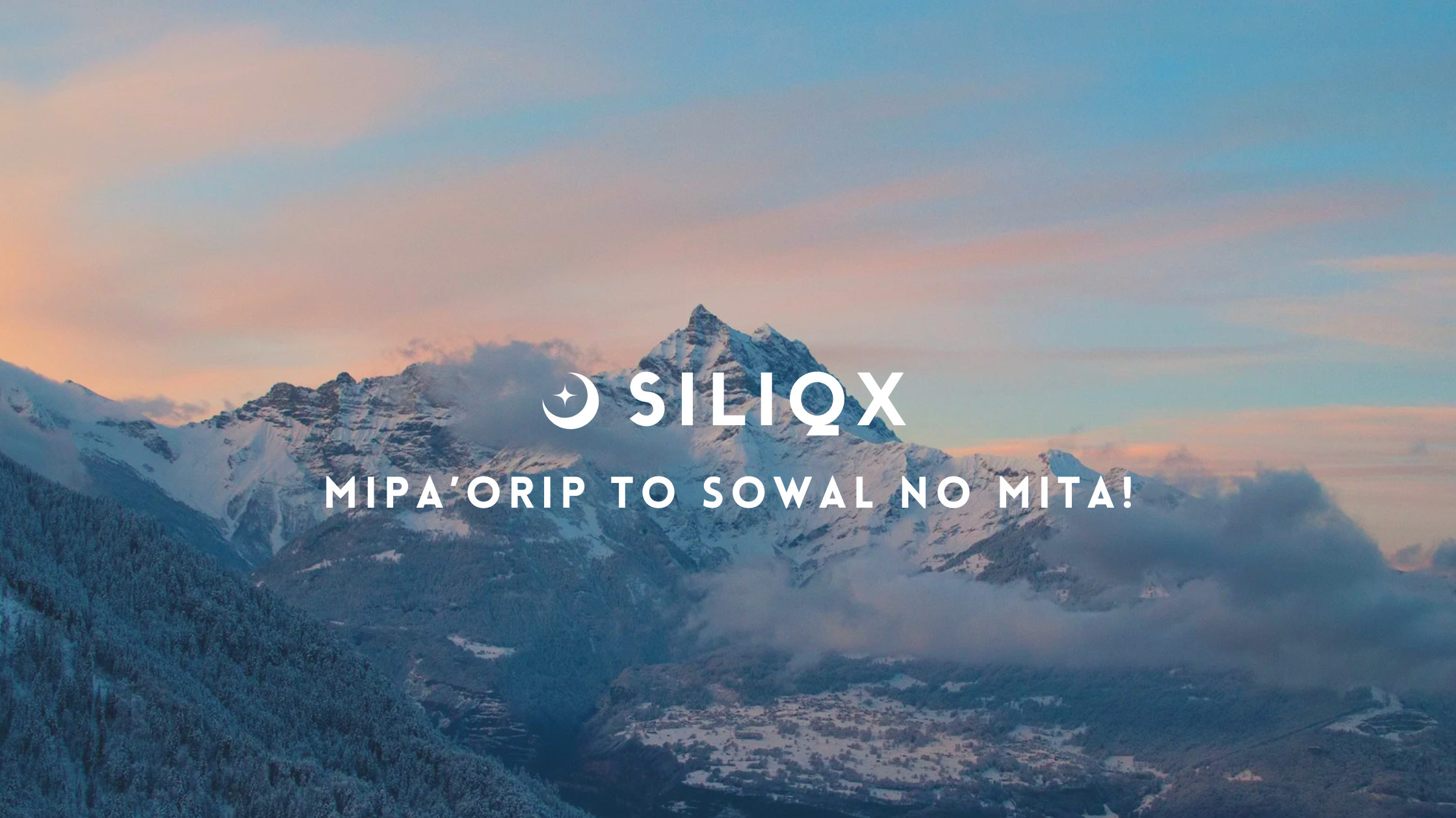 Siliqx banner